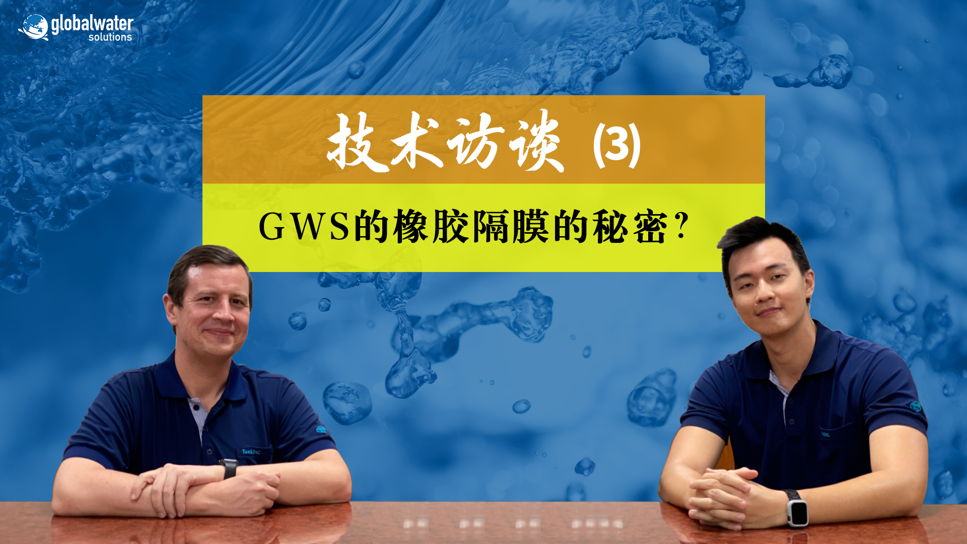 美国GWS技术访谈三：GWS丁基橡胶隔膜的秘密
